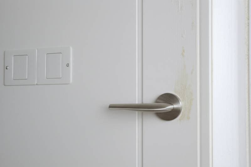 Image for Why Home Warranties Usually Don't Cover Mold Damage